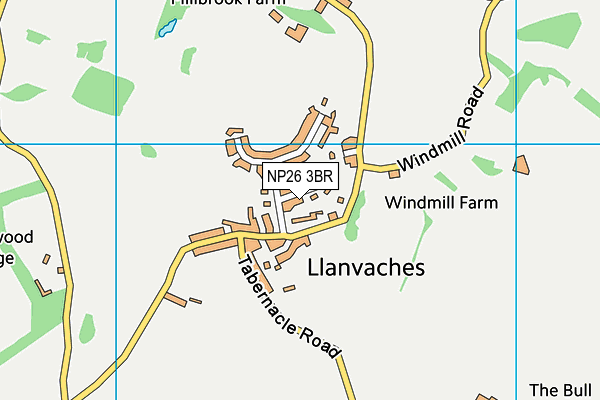NP26 3BR map - OS VectorMap District (Ordnance Survey)