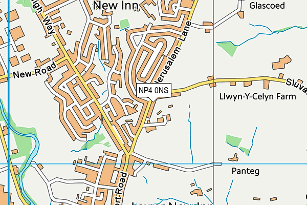 NP4 0NS map - OS VectorMap District (Ordnance Survey)