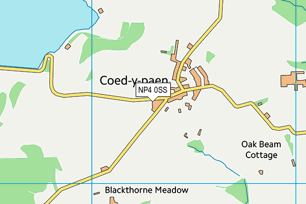 NP4 0SS map - OS VectorMap District (Ordnance Survey)