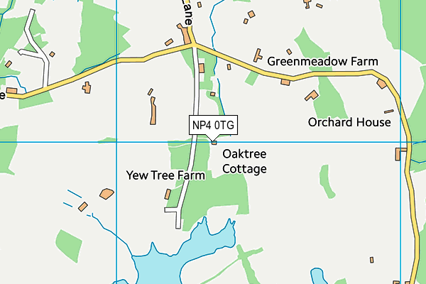 NP4 0TG map - OS VectorMap District (Ordnance Survey)