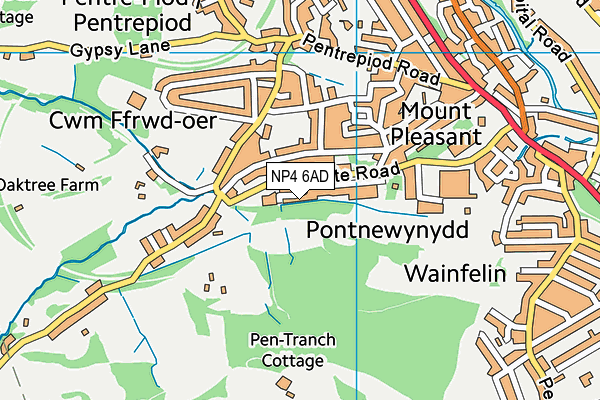 NP4 6AD map - OS VectorMap District (Ordnance Survey)