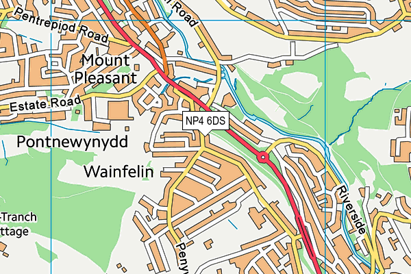 NP4 6DS map - OS VectorMap District (Ordnance Survey)