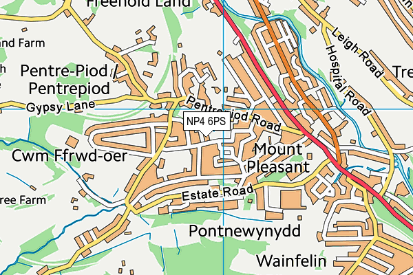 NP4 6PS map - OS VectorMap District (Ordnance Survey)