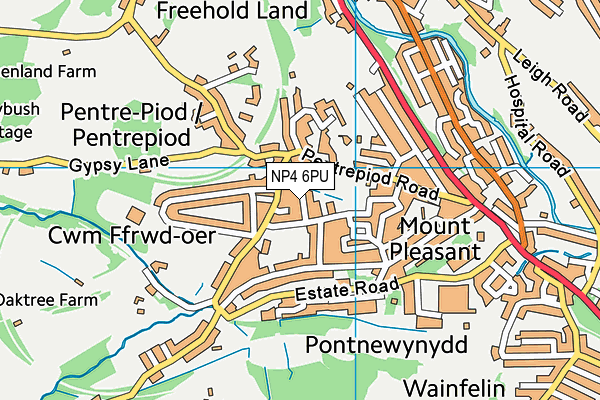 NP4 6PU map - OS VectorMap District (Ordnance Survey)