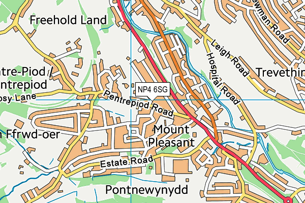 NP4 6SG map - OS VectorMap District (Ordnance Survey)