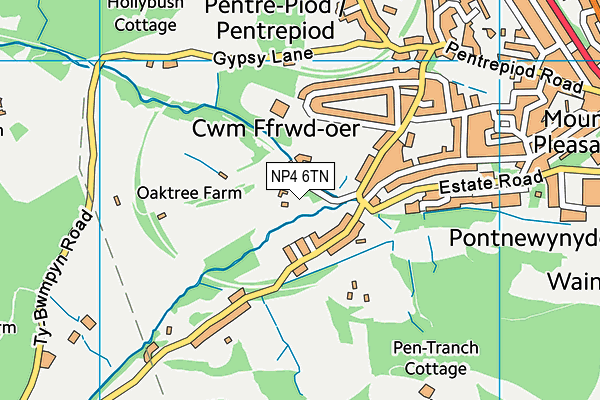 NP4 6TN map - OS VectorMap District (Ordnance Survey)