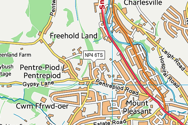 NP4 6TS map - OS VectorMap District (Ordnance Survey)