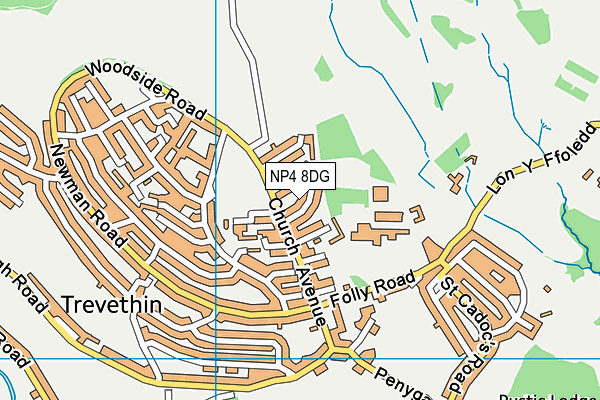 NP4 8DG map - OS VectorMap District (Ordnance Survey)