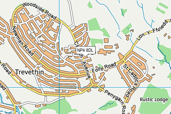 NP4 8DL map - OS VectorMap District (Ordnance Survey)