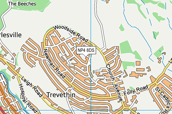 NP4 8DS map - OS VectorMap District (Ordnance Survey)