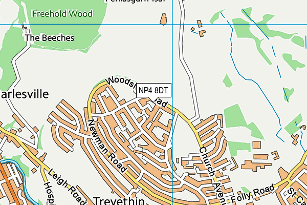 NP4 8DT map - OS VectorMap District (Ordnance Survey)