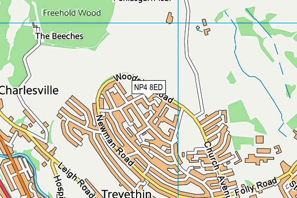 NP4 8ED map - OS VectorMap District (Ordnance Survey)