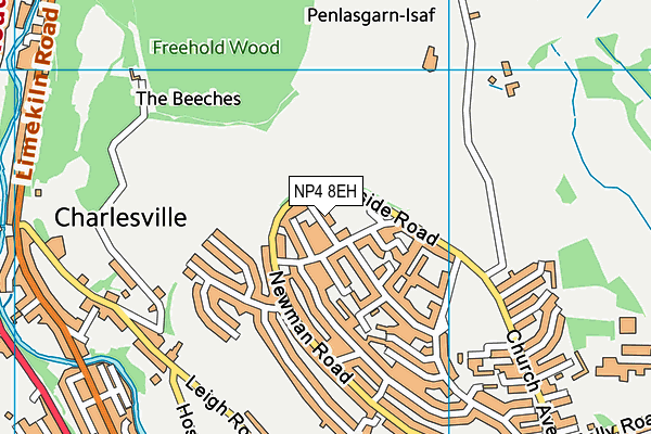 NP4 8EH map - OS VectorMap District (Ordnance Survey)