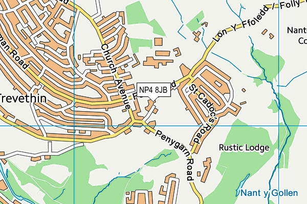 NP4 8JB map - OS VectorMap District (Ordnance Survey)