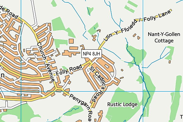NP4 8JH map - OS VectorMap District (Ordnance Survey)