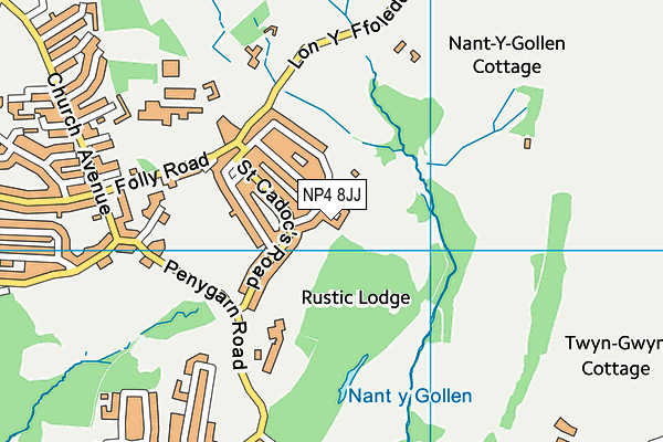 NP4 8JJ map - OS VectorMap District (Ordnance Survey)
