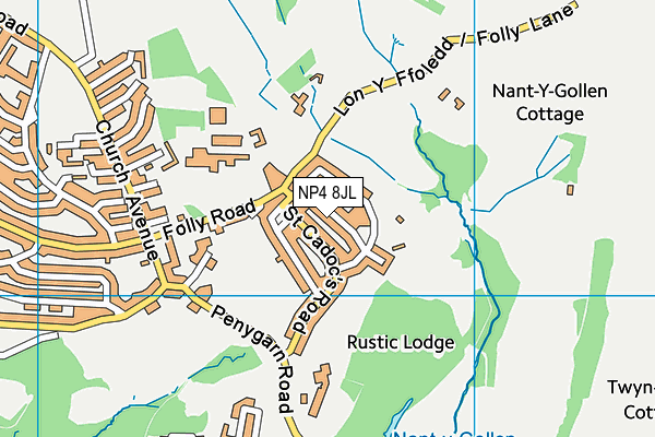 NP4 8JL map - OS VectorMap District (Ordnance Survey)