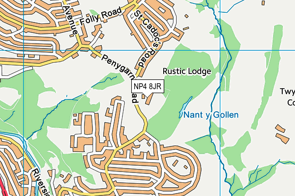 Penygarn Primary School map (NP4 8JR) - OS VectorMap District (Ordnance Survey)