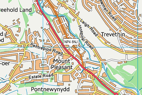 NP4 8NJ map - OS VectorMap District (Ordnance Survey)