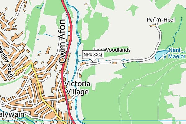 NP4 8XQ map - OS VectorMap District (Ordnance Survey)