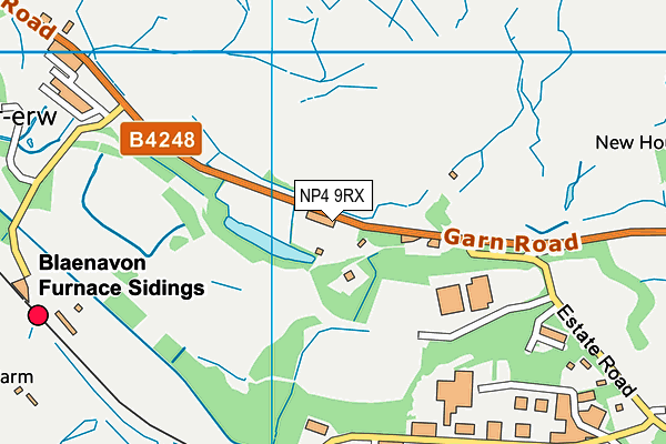 NP4 9RX map - OS VectorMap District (Ordnance Survey)