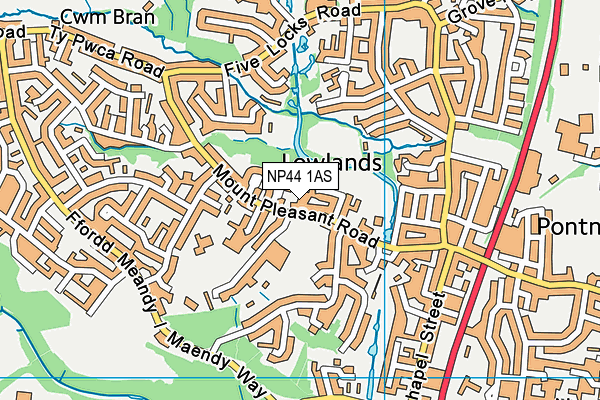 NP44 1AS map - OS VectorMap District (Ordnance Survey)