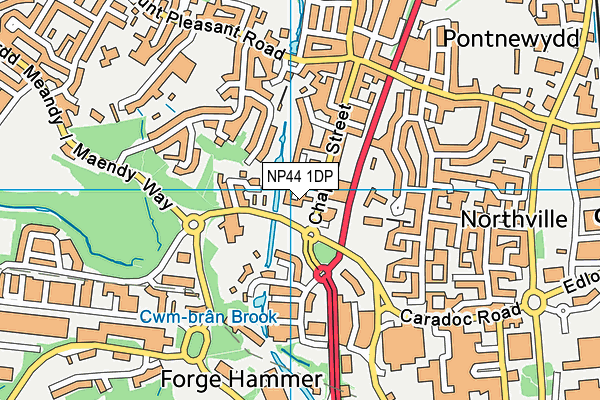 NP44 1DP map - OS VectorMap District (Ordnance Survey)