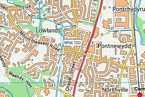 NP44 1DQ map - OS VectorMap District (Ordnance Survey)