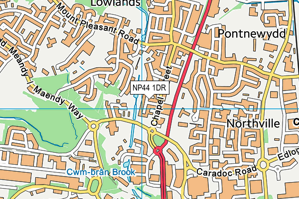 NP44 1DR map - OS VectorMap District (Ordnance Survey)