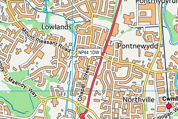 NP44 1DW map - OS VectorMap District (Ordnance Survey)