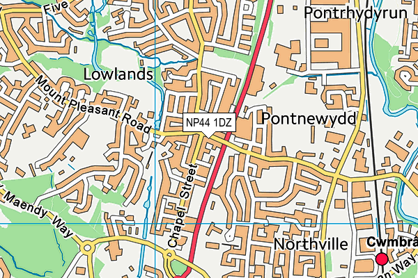 NP44 1DZ map - OS VectorMap District (Ordnance Survey)