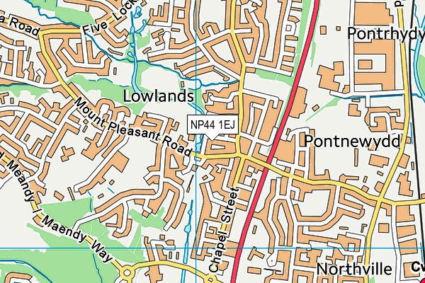 NP44 1EJ map - OS VectorMap District (Ordnance Survey)