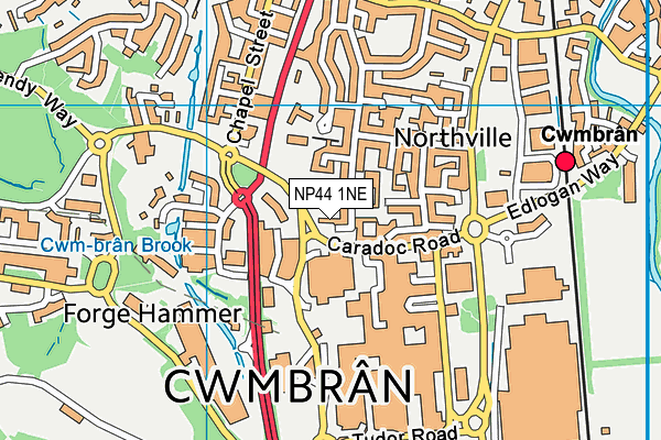 NP44 1NE map - OS VectorMap District (Ordnance Survey)