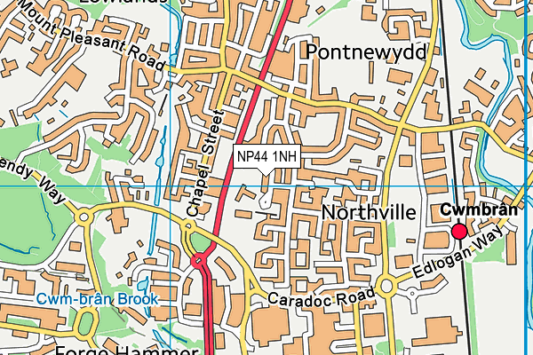 Maendy Primary School map (NP44 1NH) - OS VectorMap District (Ordnance Survey)