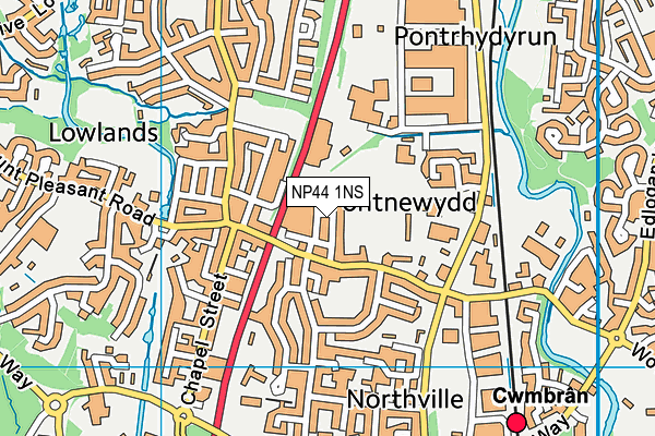NP44 1NS map - OS VectorMap District (Ordnance Survey)