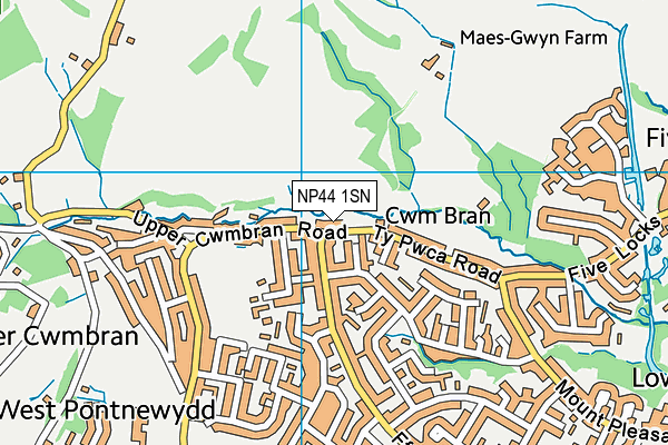 NP44 1SN map - OS VectorMap District (Ordnance Survey)