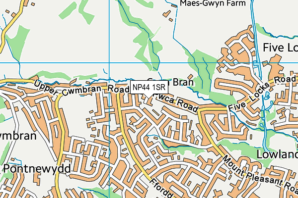NP44 1SR map - OS VectorMap District (Ordnance Survey)
