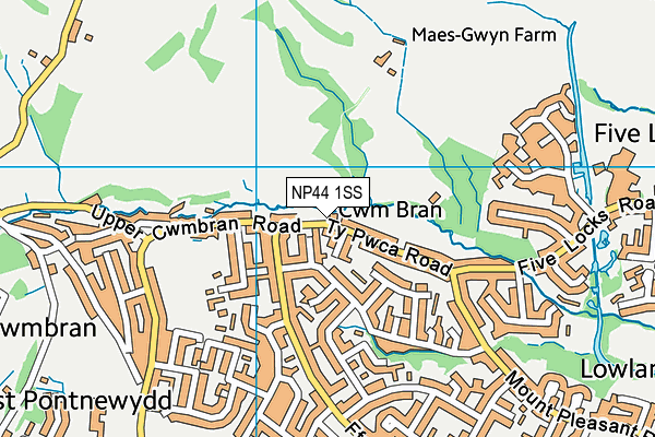 NP44 1SS map - OS VectorMap District (Ordnance Survey)