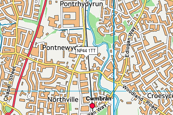 NP44 1TT map - OS VectorMap District (Ordnance Survey)