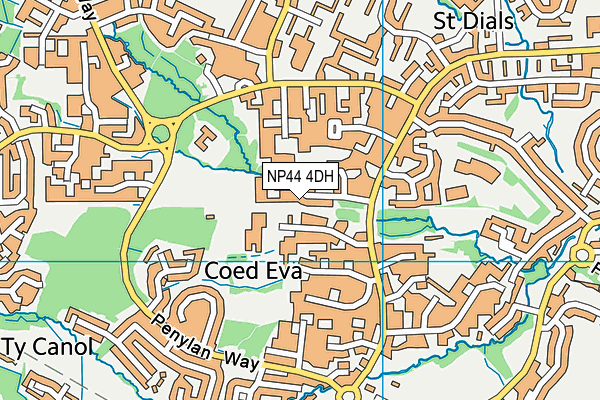 NP44 4DH map - OS VectorMap District (Ordnance Survey)