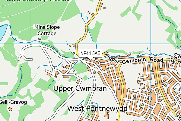 NP44 5AE map - OS VectorMap District (Ordnance Survey)