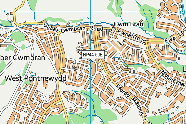 NP44 5JE map - OS VectorMap District (Ordnance Survey)