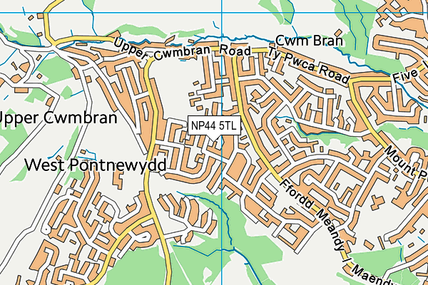 NP44 5TL map - OS VectorMap District (Ordnance Survey)