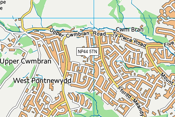 NP44 5TN map - OS VectorMap District (Ordnance Survey)