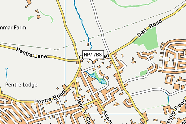 NP7 7BS map - OS VectorMap District (Ordnance Survey)