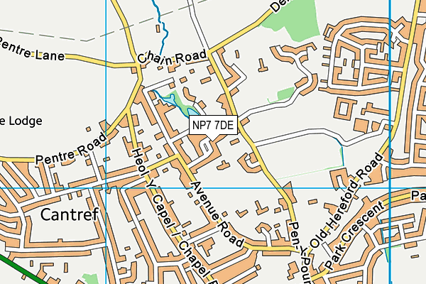 NP7 7DE map - OS VectorMap District (Ordnance Survey)