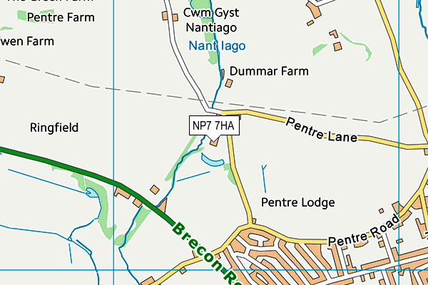 NP7 7HA map - OS VectorMap District (Ordnance Survey)