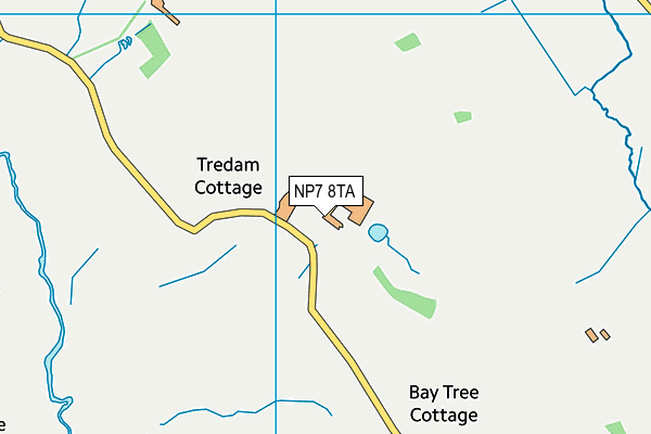 NP7 8TA map - OS VectorMap District (Ordnance Survey)