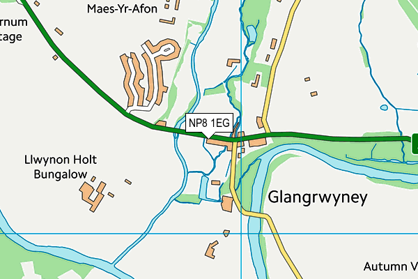 NP8 1EG map - OS VectorMap District (Ordnance Survey)