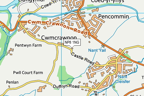 NP8 1NG map - OS VectorMap District (Ordnance Survey)